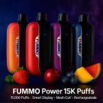 Fummo Power 15K Disposable Vape 15,000 Puffs Rechargeable USB-C Battery Mesh Coil