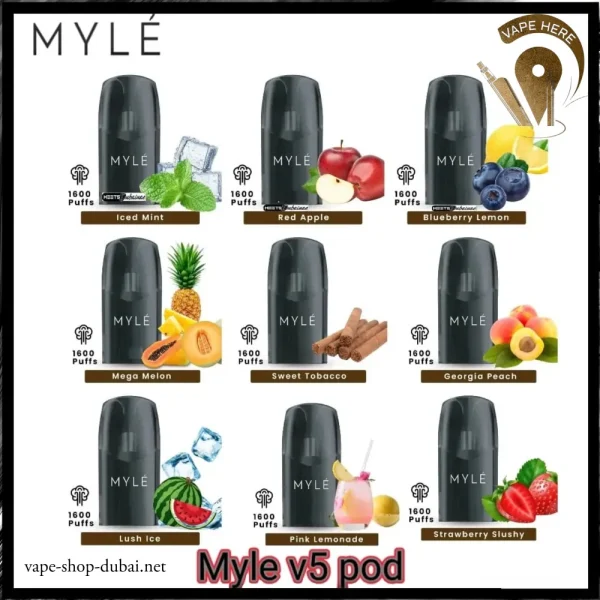 MYLE V5 POD